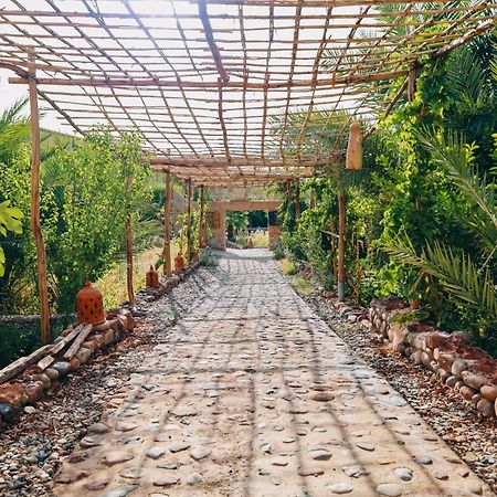 Riad Aman סקורה מראה חיצוני תמונה