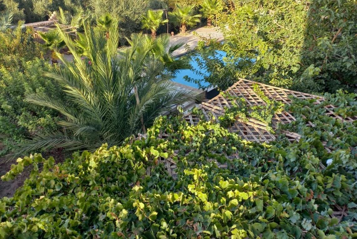 Riad Aman סקורה מראה חיצוני תמונה
