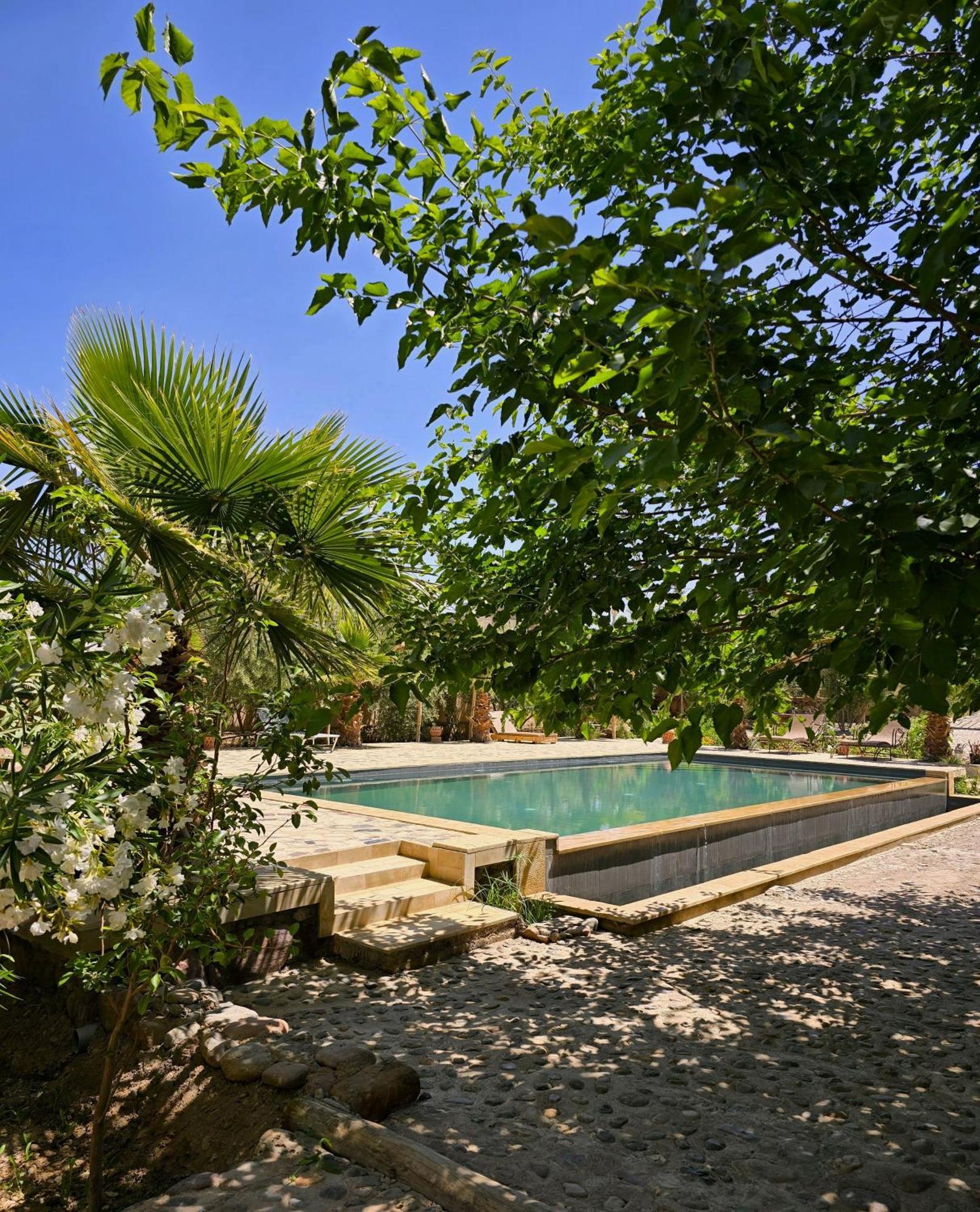 Riad Aman סקורה מראה חיצוני תמונה