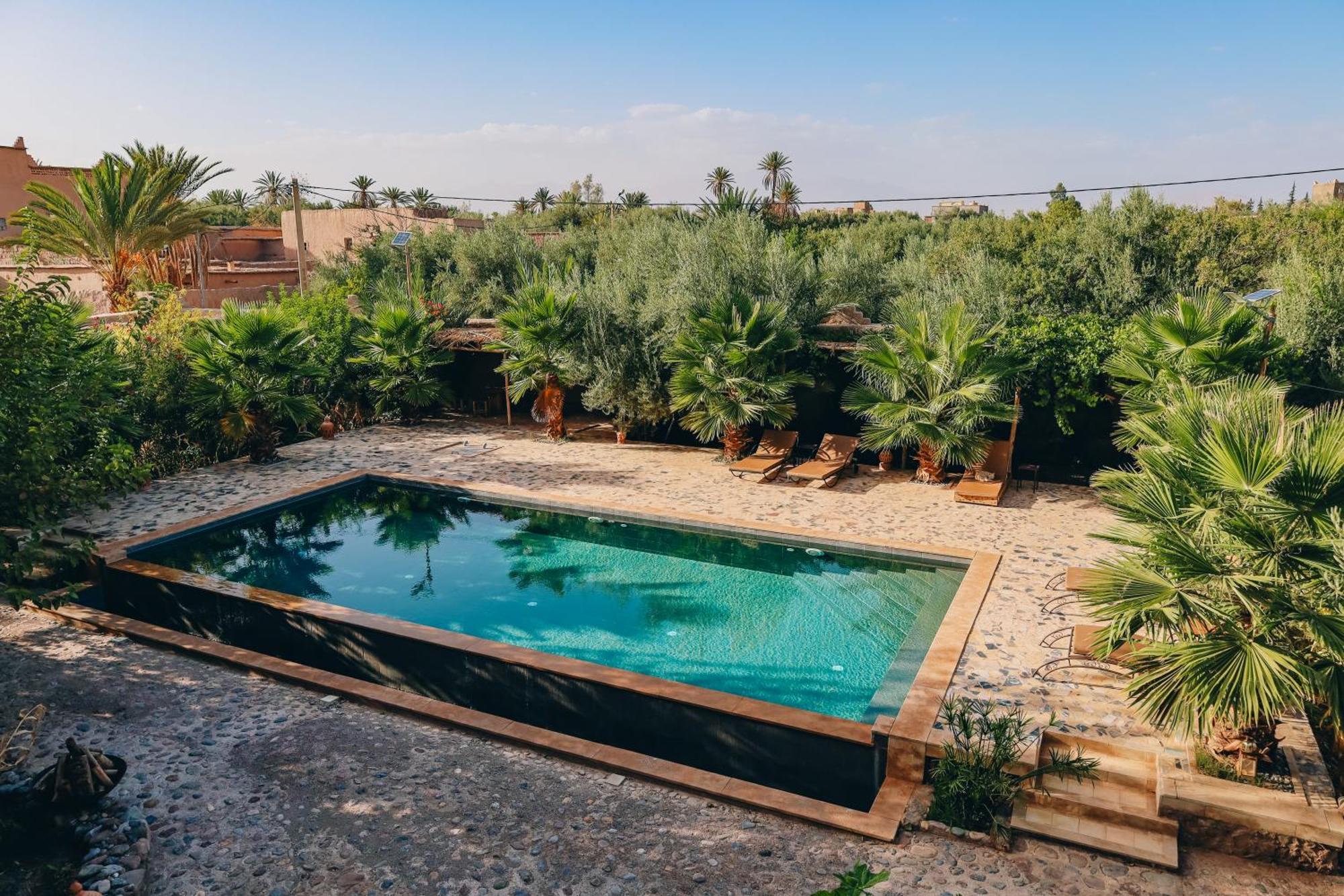 Riad Aman סקורה מראה חיצוני תמונה