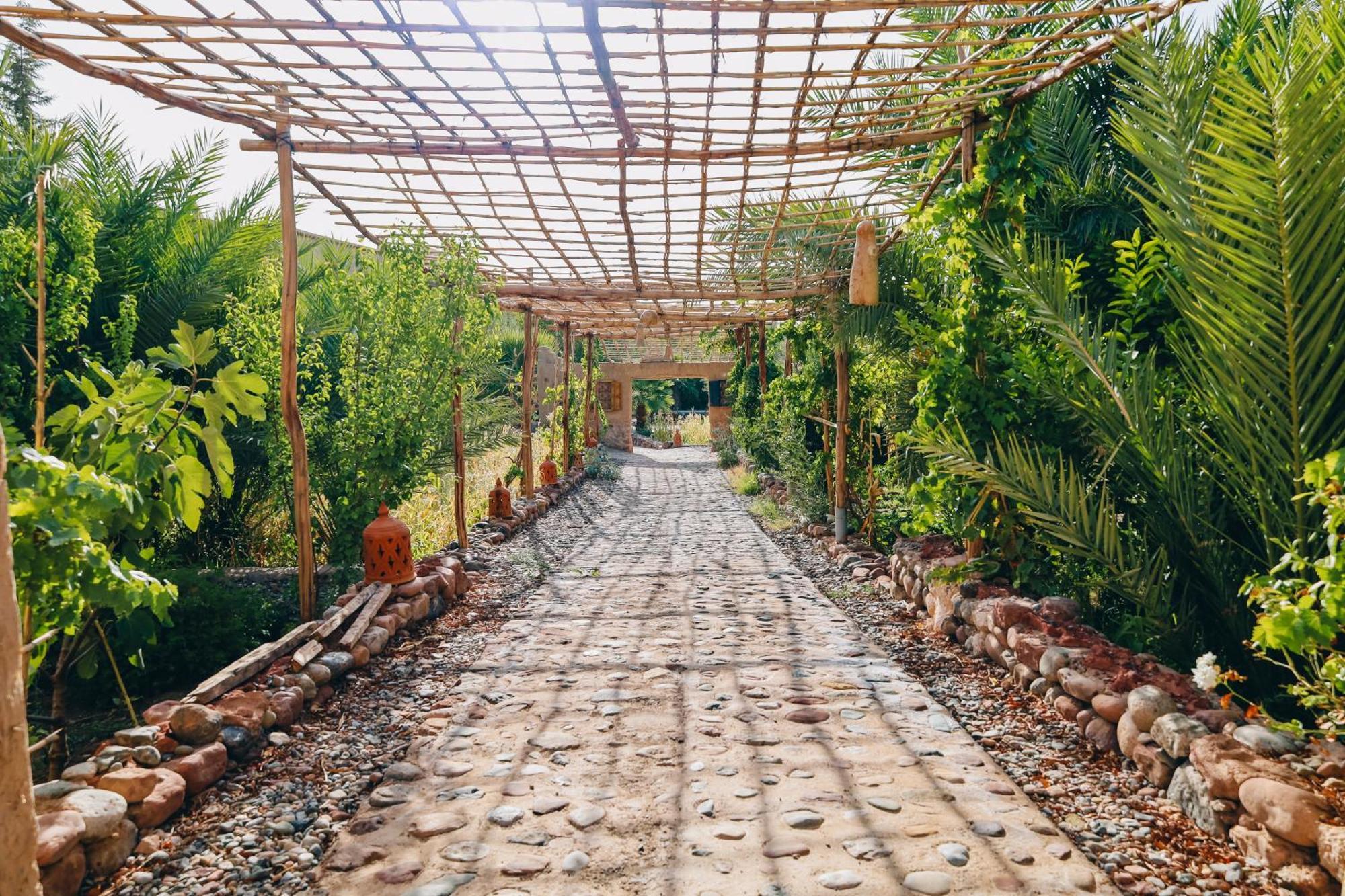 Riad Aman סקורה מראה חיצוני תמונה